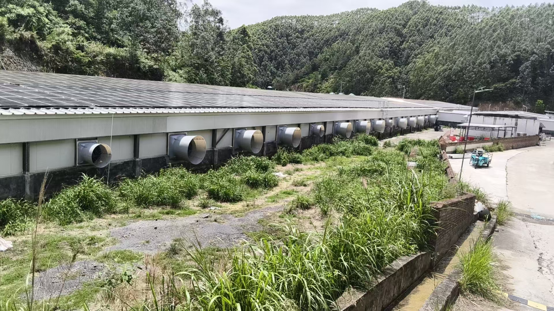 Ventilation upgrade project at a sow farm